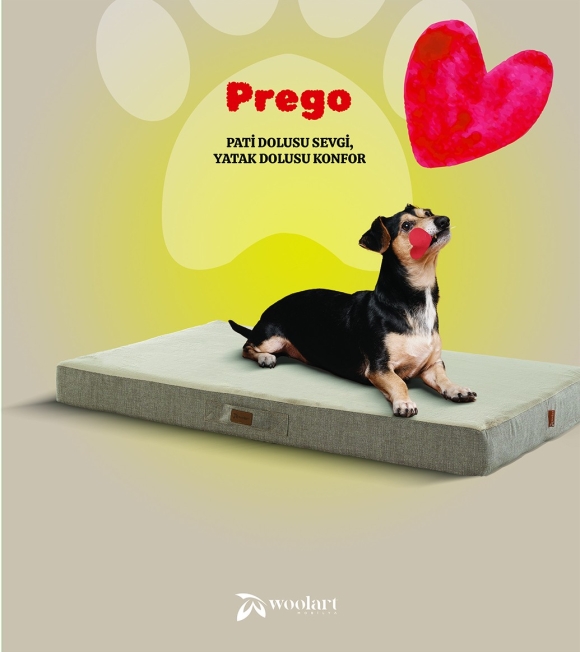 Prego